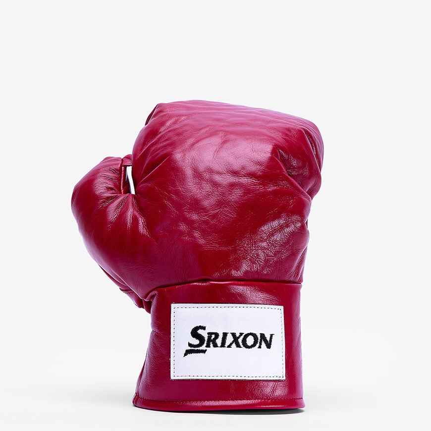 Boxing-Glove-HC-Front.jpg