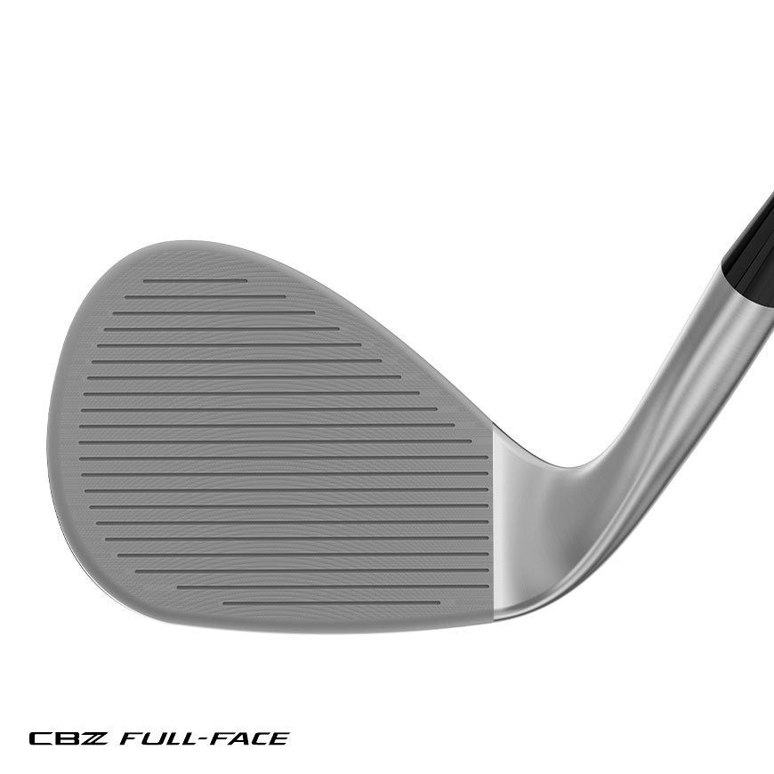 Wedge CBZ Tour Full-Face Satin - Acier