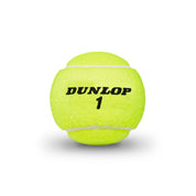 Balle de tennis ATP Championship Extra Duty