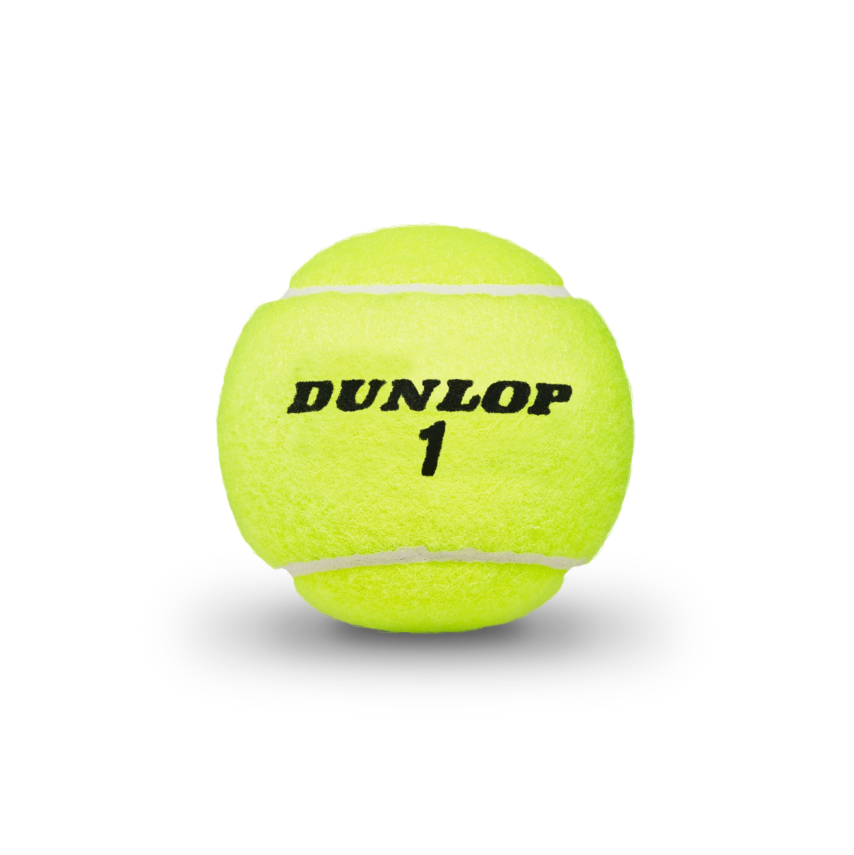 Balle de tennis ATP Championship Extra Duty