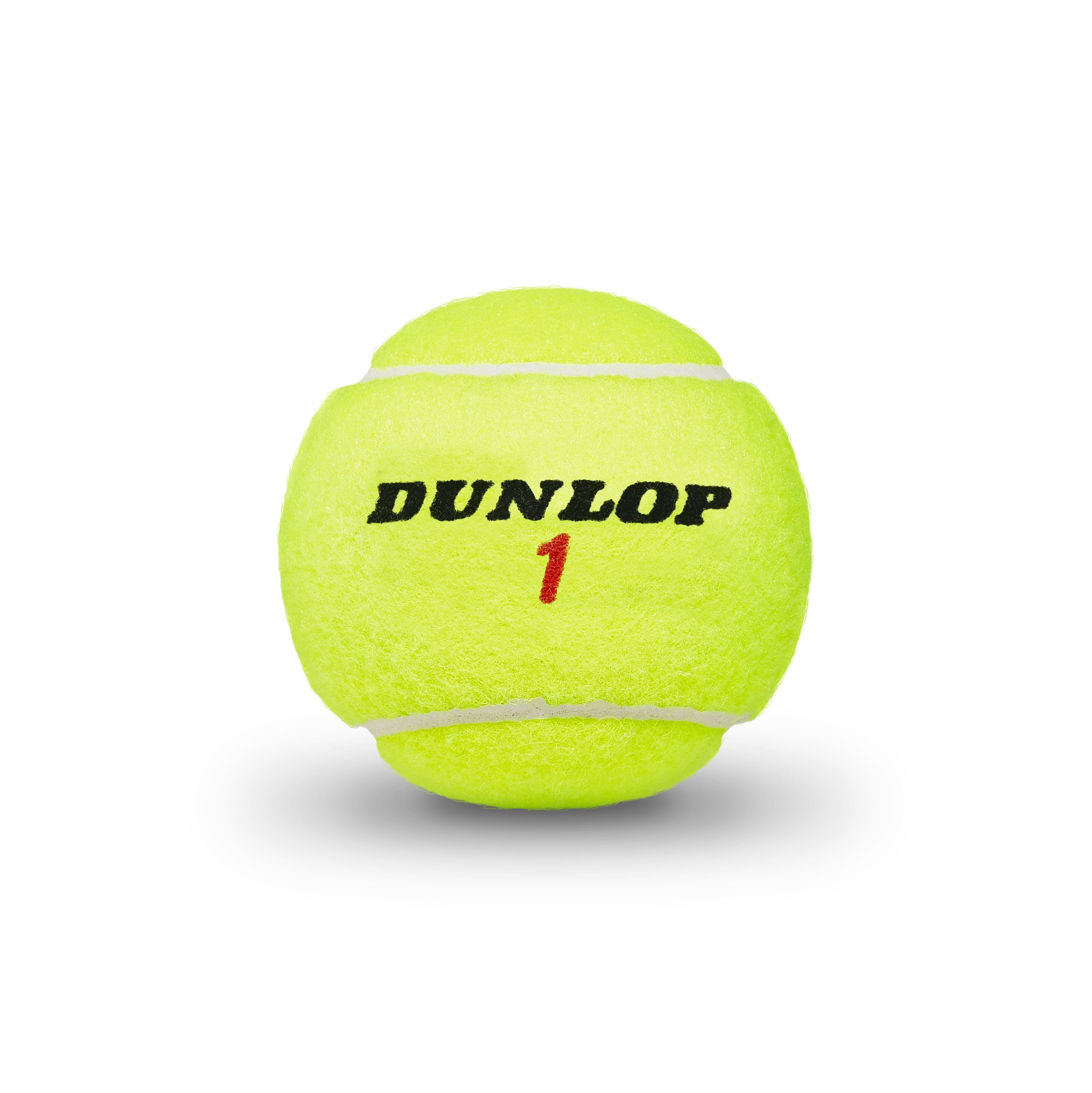 Balle de tennis standard ATP Championship